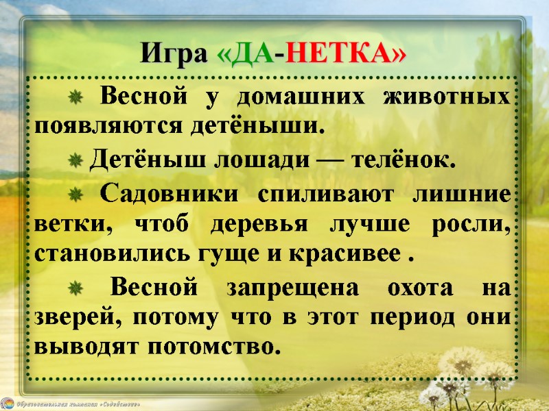 Игра «ДА-НЕТКА» ✵ Весной у домашних животных появляются детёныши.  ✵ Детёныш лошади —